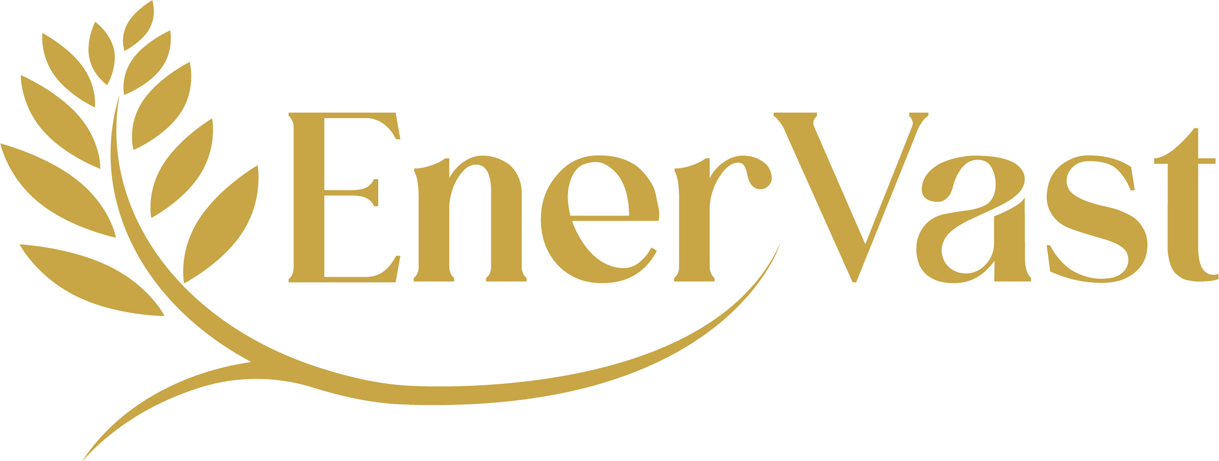 EnerVast logo
